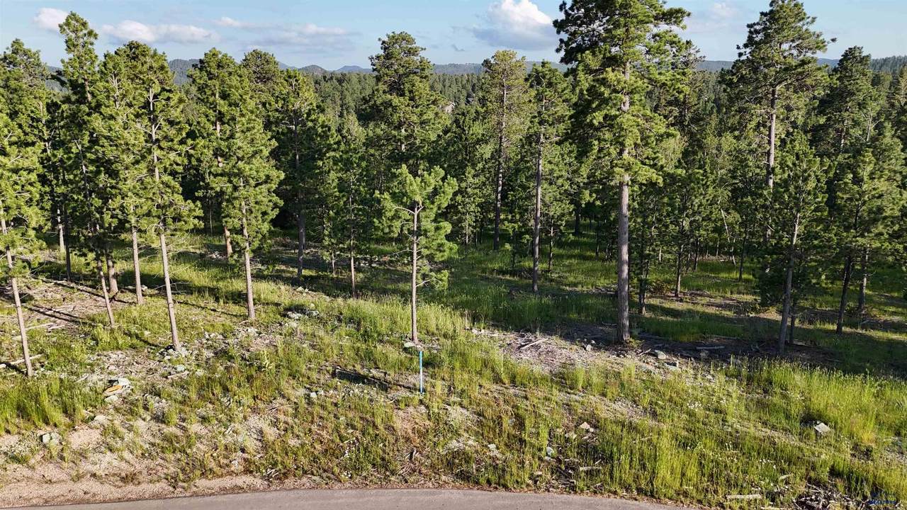 Lot 3 Block 9 Overlook Pass - Photo 1