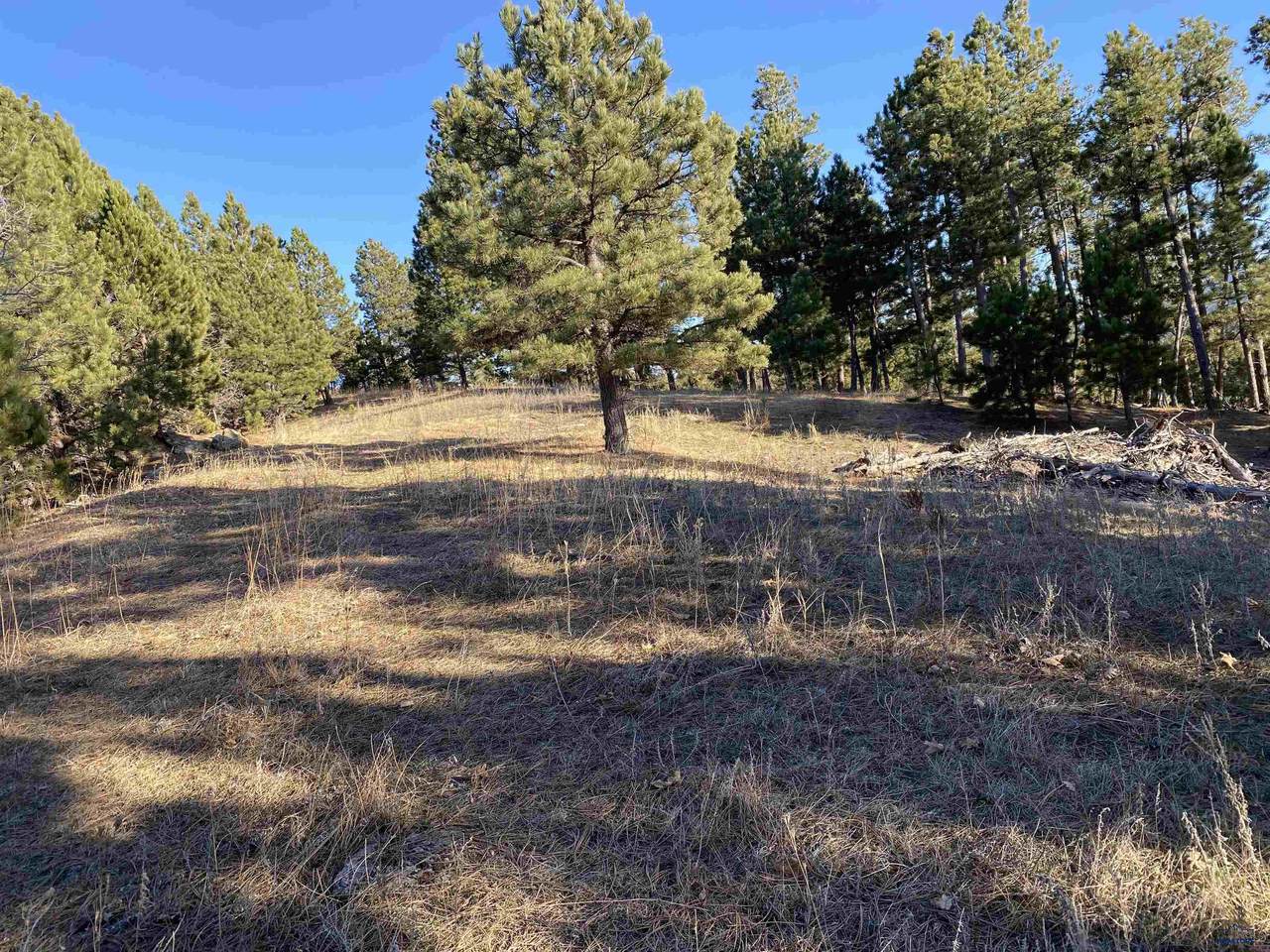 7A TBD Kissack Rd - Photo 1