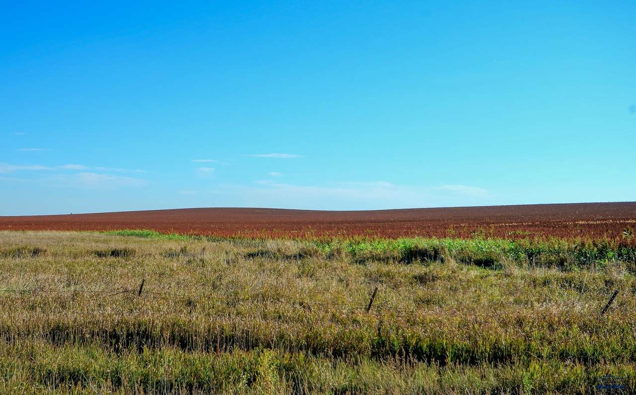 https://bt-photos.global.ssl.fastly.net/blackhills/1280_boomver_2_176294-2.jpg