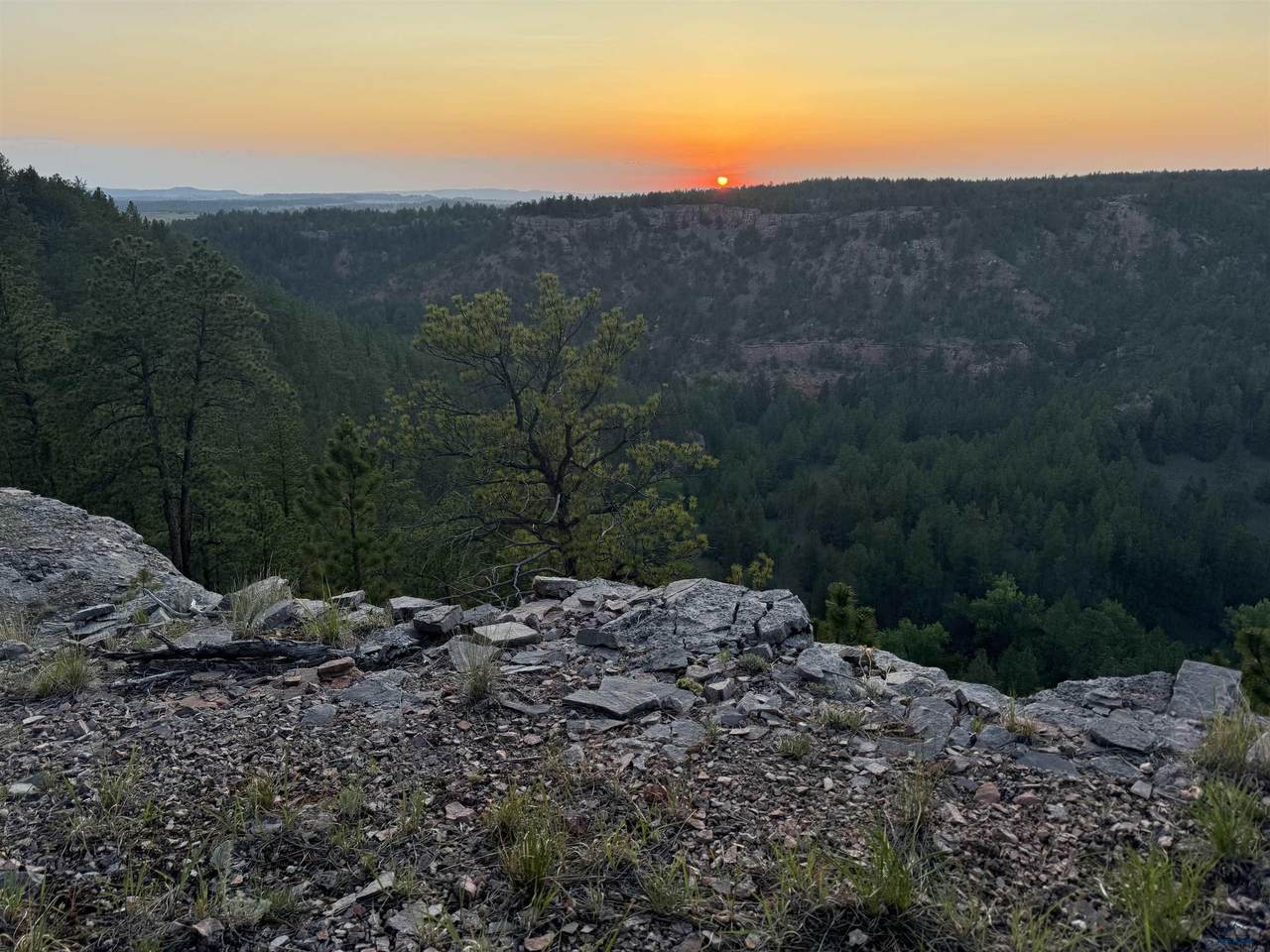 11562 Red Canyon Rd - Photo 1