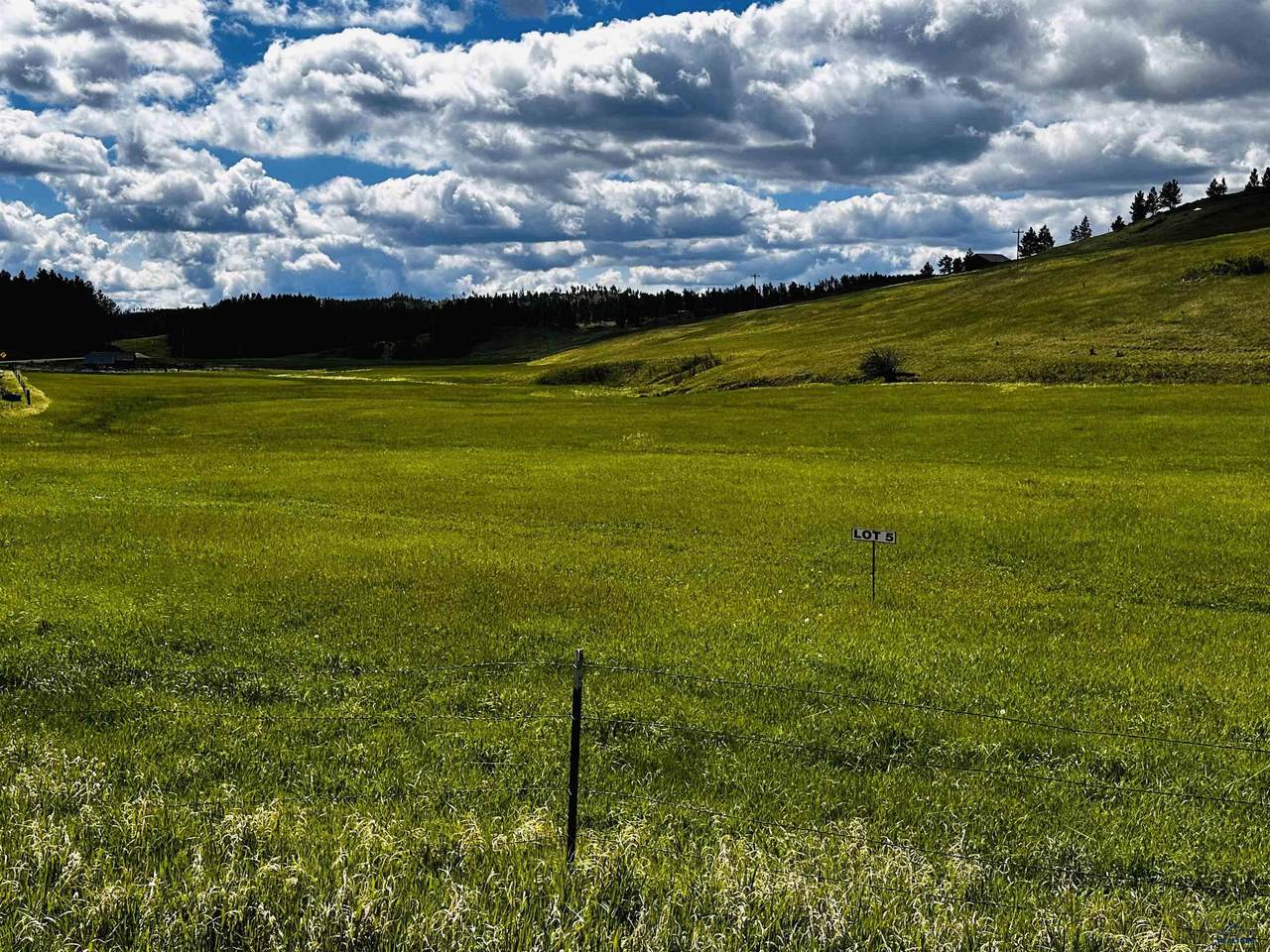 Lot 5 McVey Rd Hill City - Photo 1