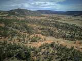 27222 Earp Rd - Photo 4
