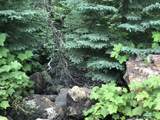 20693 Other - Photo 3