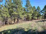  Alta Vista Dr - Photo 10
