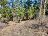  Alta Vista Dr - Photo 11