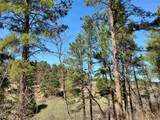  Alta Vista Dr - Photo 4