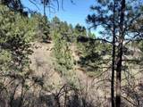  Alta Vista Dr - Photo 5