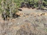  Alta Vista Dr - Photo 8