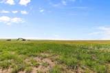 Lot 51 Wagon Master Way - Photo 29