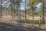 8339 Stage Stop Rd - Photo 34