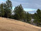 Lot 19 Summit Pass - Photo 3