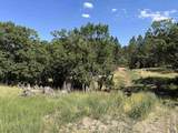 Lot 27 Ponderosa Pass Rd - Photo 6