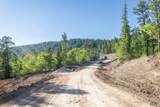 Lot 105 Paradise Gulch Loop - Photo 31