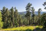 Lot 118 Paradise Gulch Loop - Photo 6