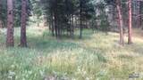 TBD Wind Dance Rd - Photo 10
