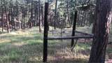 TBD Wind Dance Rd - Photo 11