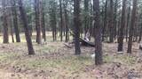 TBD Wind Dance Rd - Photo 12
