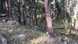 TBD Wind Dance Rd - Photo 13