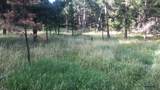TBD Wind Dance Rd - Photo 8