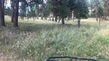 TBD Wind Dance Rd - Photo 9
