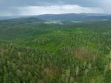 TBD Crook Mountain Rd - Photo 10