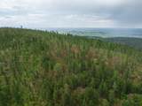 TBD Crook Mountain Rd - Photo 12
