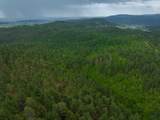 TBD Crook Mountain Rd - Photo 16