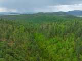 TBD Crook Mountain Rd - Photo 17
