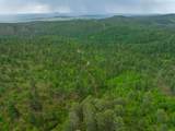 TBD Crook Mountain Rd - Photo 18