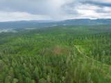 TBD Crook Mountain Rd - Photo 9
