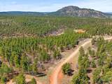 Lot 3 Tanager Ct - Photo 12