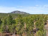 Lot 3 Tanager Ct - Photo 13