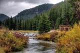 10624 Wildlife Rd - Photo 34
