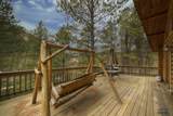 10624 Wildlife Rd - Photo 5