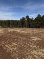 5924 Wind River Rd - Photo 12