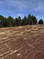 5924 Wind River Rd - Photo 13