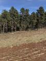 5924 Wind River Rd - Photo 18