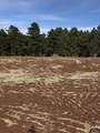 5924 Wind River Rd - Photo 8