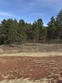 5924 Wind River Rd - Photo 9