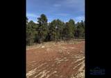 5836 Wind River Rd - Photo 11