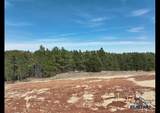 5836 Wind River Rd - Photo 14