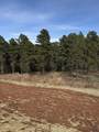 5824 Wind River Rd - Photo 5