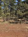 5812 Wind River Rd - Photo 9