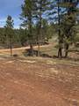 5812 Wind River Rd - Photo 10