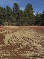 5812 Wind River Rd - Photo 12