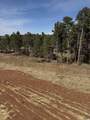 5812 Wind River Rd - Photo 14