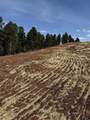 5812 Wind River Rd - Photo 16