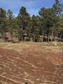 5734 Wind River Rd - Photo 7