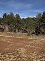 5722 Wind River Rd - Photo 18