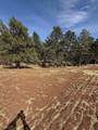 5722 Wind River Rd - Photo 20
